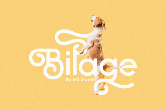 Bilage: Elevate Your Projects with Natural Charm