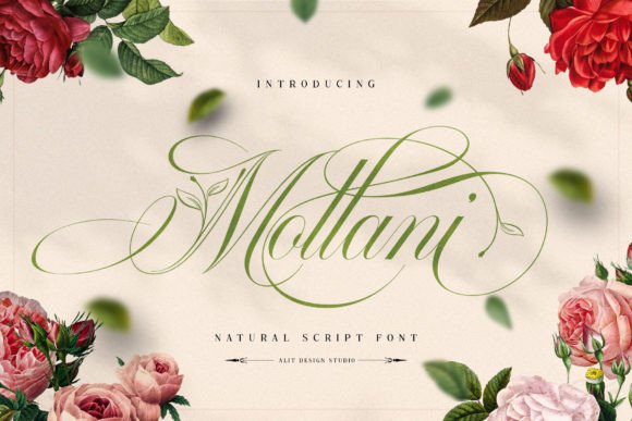 Mollani: Where Elegant Script Meets Nature's Organic Flow