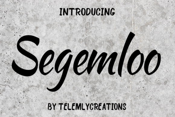 Segemloo: Crafting Authentic Brand Identity